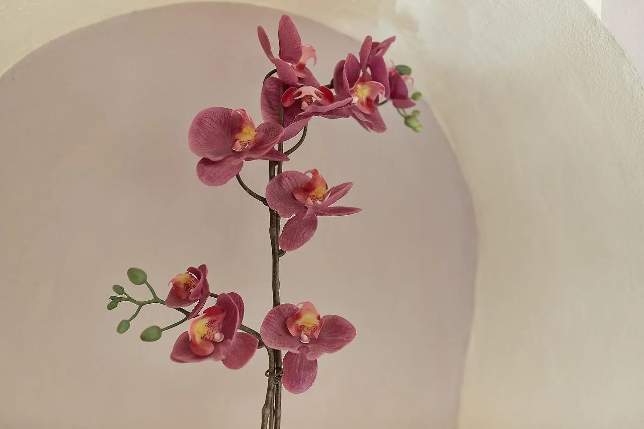 B&B Di Piazza Del Duomo Florence Bed & Breakfast